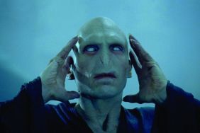Voldemort Could Be a Woman in Harry Potter Reboot Series