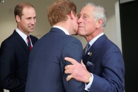 Prince Harry Strategizing So King Charles Could See That He Can Help Him More Than Prince William, Says Source