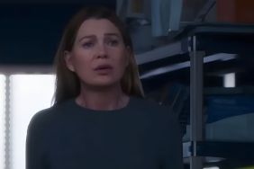 Grey's Anatomy Actor on When Fans Will Learn if Any Doctors Die