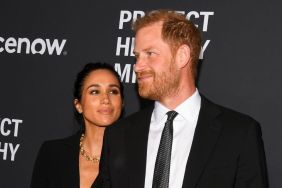 Prince Harry & Meghan Markle Didn't Fully Understand Why They Were Being Awarded, Says Source