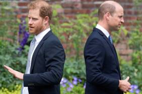 Prince Harry, Prince William
