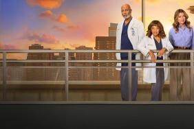 Grey's Anatomy Creator on How or When the ABC Series Will End