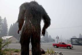 'Sincere' Bigfoot Sighting Reported by Investigator in Pennsylvania