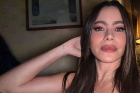 Sofia Vergara's Selfie in Red Bustier Dress Has Fans Saying 'Mami'