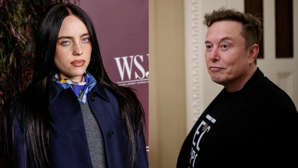 Billie Eilish elon musk
