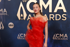 Kelsea Ballerini's Sheer Dress Look Demands a Full Pause