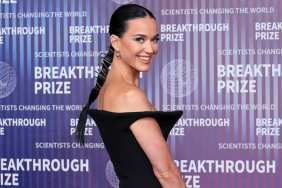 Katy Perry’s Ex’s Joke About New Boyfriend Was for ‘Attention’ — Source