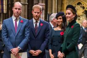Meghan Prince Harry Prince William and Catherine (1)