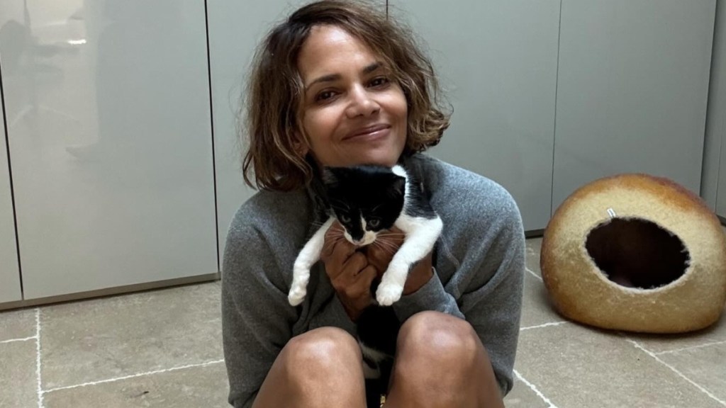 Halle Berry Looks 'Purrfect' While Holding Cats in Mini Shorts