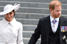 Prince Harry's Remarks About Queen Camilla Cost Him UK Home — Sources