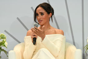 Meghan Markle 'Has Her Pick of Scripts' Amid Hollywood Connections — Source
