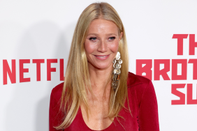 Photo: Gwyneth Paltrow in High-Slit Dress Is Unmissable
