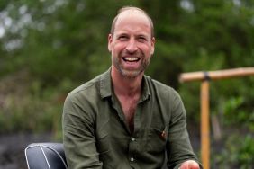 Prince William's Personal Life Confessions Is 'Excellent Strategy' — Expert