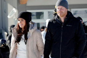 Prince Harry 'Fish Out of Water' in Wife's Holiday Special Video — Expert