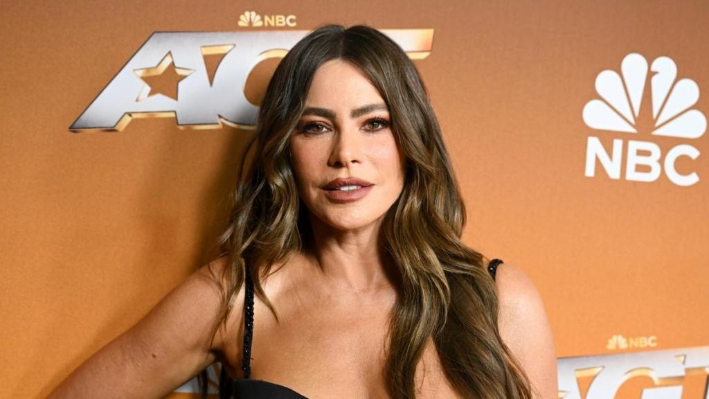 Sofia Vergara Wearing Bustier Top Has Fans Calling Her 'Icon'