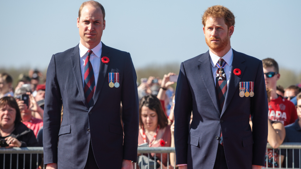 Prince Harry & Brother's Royal Engagement Overlap Not Intentional — Source