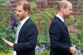 Prince Harry & Prince William's Rift Started Over This Royal Jewelry — Source