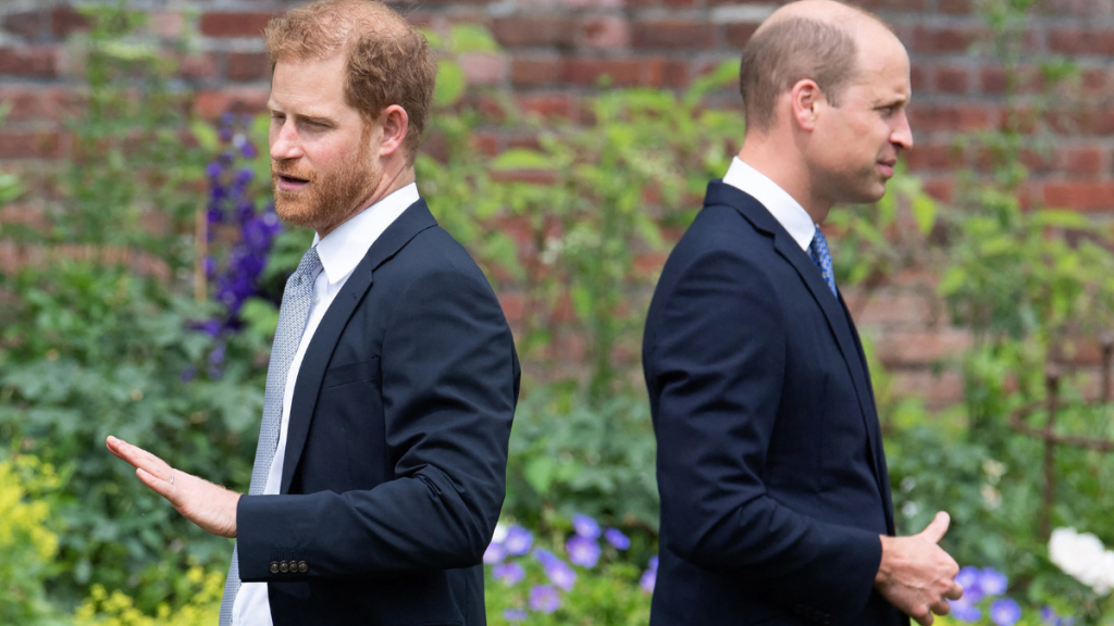 Prince Harry's 'Diary Clash' With Prince William 'Ridiculous' — Expert