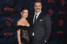 Millie Bobby Brown Initiated David Harbour Reunion — Expert