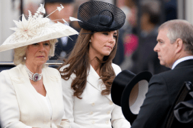 Kate Middleton Controlling Prince Andrew Issue Has Queen 'Fuming' — Source