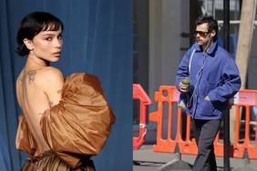 Zoe Kravitz & Harry Styles (1)