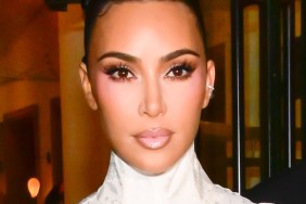 kim kardashian elephant birkin bag