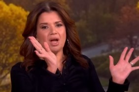 The View Jeffrey Epstein Files Ana Navarro Entitled Men