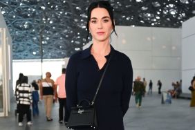 Katy Perry Wearing Strapless Dress Goes Harder Than Expected