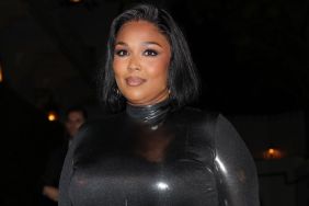 Lizzo Poses in Bold Neckline Top, Says 'I'm That B****'