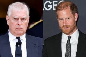 Prince Harry & Ex-Prince Andrew Get Harsh Nickname by Palace Staff— Report
