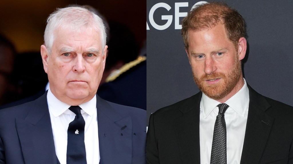 Prince Harry & Ex-Prince Andrew Get Harsh Nickname by Palace Staff— Report