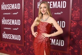 Amanda Seyfried Wearing Thigh-High Slit Dress Demands a Second Look
