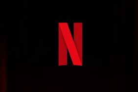 Netflix Has Canceled Yet Another Acclaimed TV Show in 2025