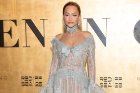 Rita Ora Has Fans Obsessed With Her Bold Sheer Dress