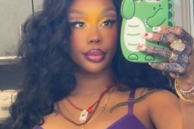 SZA's Selfie in Purple Lingerie Goes Harder Than Expected