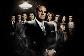 The Sopranos Star Added to Grey's Anatomy Cast in Season 22