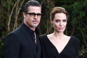 Brad Pitt Fights Back Embezzlement Claims in Court Battle With Ex-Wife — Report