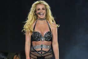 Britney Spears 'Not Romantically Involved' With Mystery Man — Source