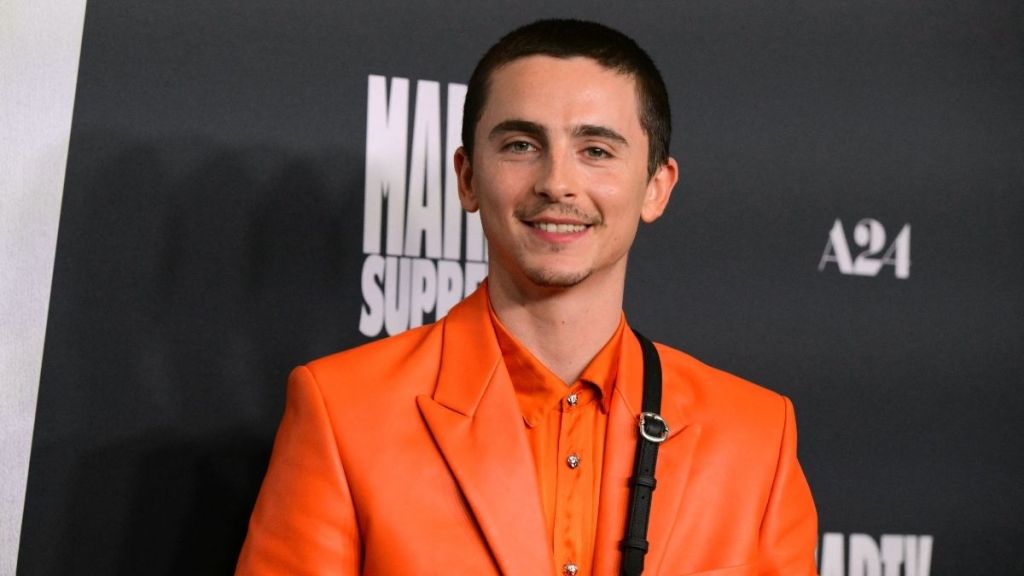 Timothee Chalament's Co-Star Calls him a 'D***'