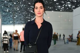 Katy Perry & Boyfriend Have 'Intimate Connection' — Expert