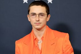 Timothee Chalamet Celebrates 30th Birthday With Throwback Childhood Photos