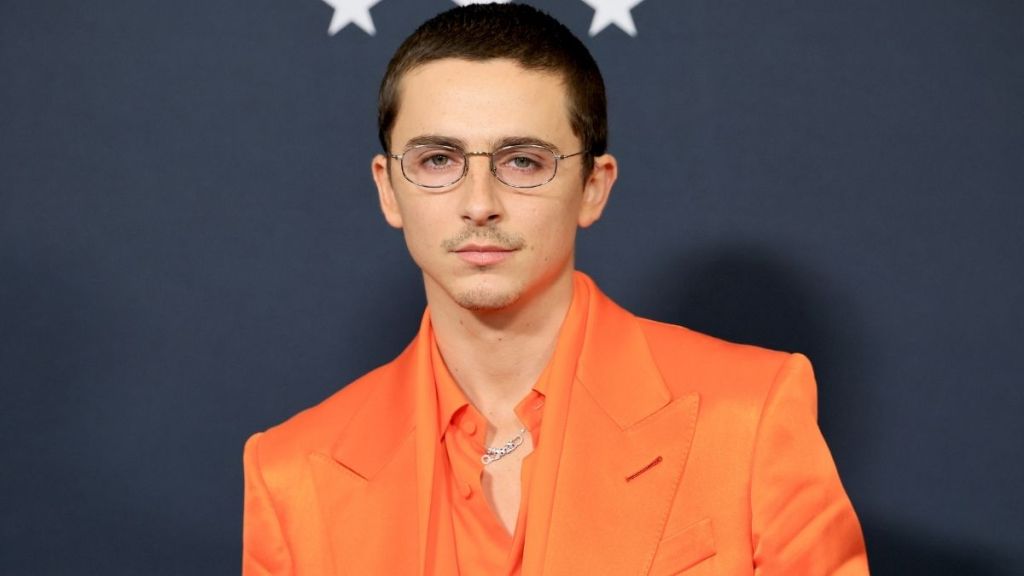 Timothee Chalamet Celebrates 30th Birthday With Throwback Childhood Photos