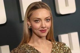 Why Amanda Seyfried Didn’t Want To Transform Into Gamora for Marvel