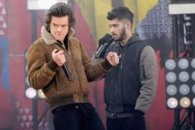 Zayn Malik Labeled ‘Jealous’ After Alleged Dig at Harry Styles