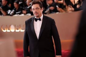 Benicio del Toro Almost Turned Down This Oscar-Nominated Movie