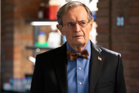 NCIS' Ducky Actor Is Behind 1 of the Most Memorable Hooks in Hip-Hop