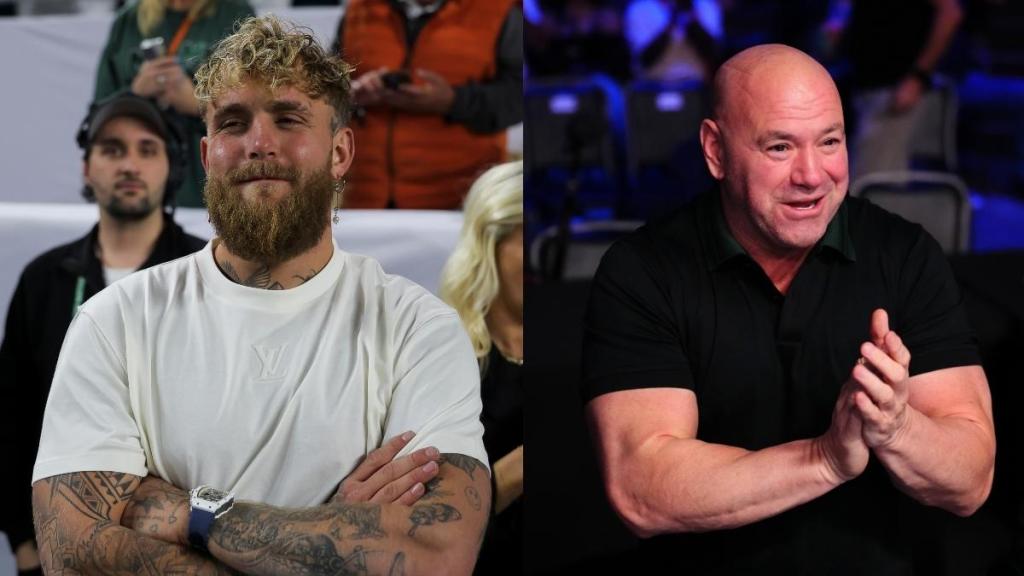 Jake Paul, Dana White