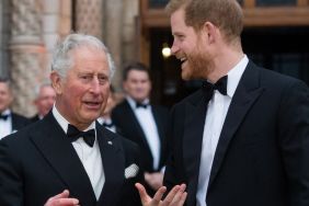 How King Charles Reacted When Prince Harry 'Demanded Funds' — Report