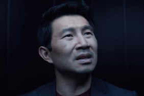 New Spy Series Gets Huge Streaming Success, Simu Liu Reacts