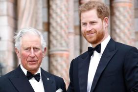 Prince Harry, King Charles